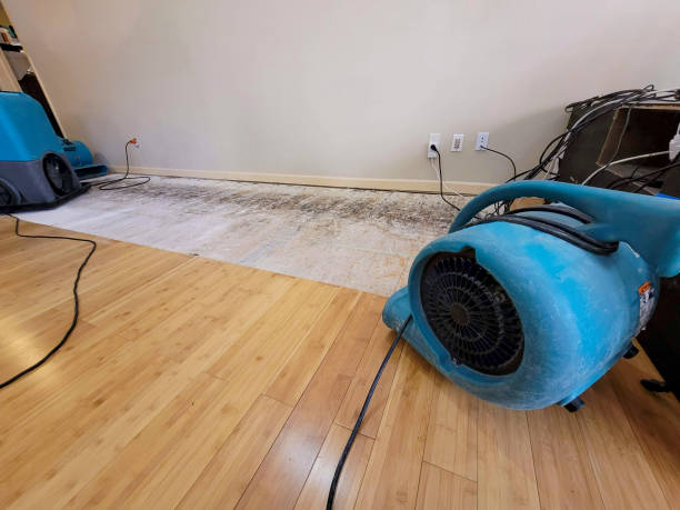 Professional Burst Pipe Water Damage technician working in Franklin, TX
